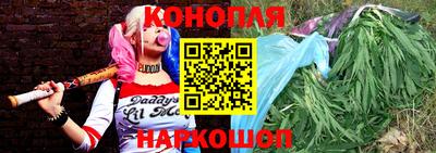 гидропоника Изобильный