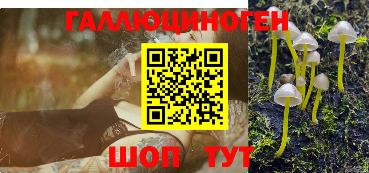 Псилоцибиновые грибы Psilocybine cubensis  Вход с VPN  Курчатов 
