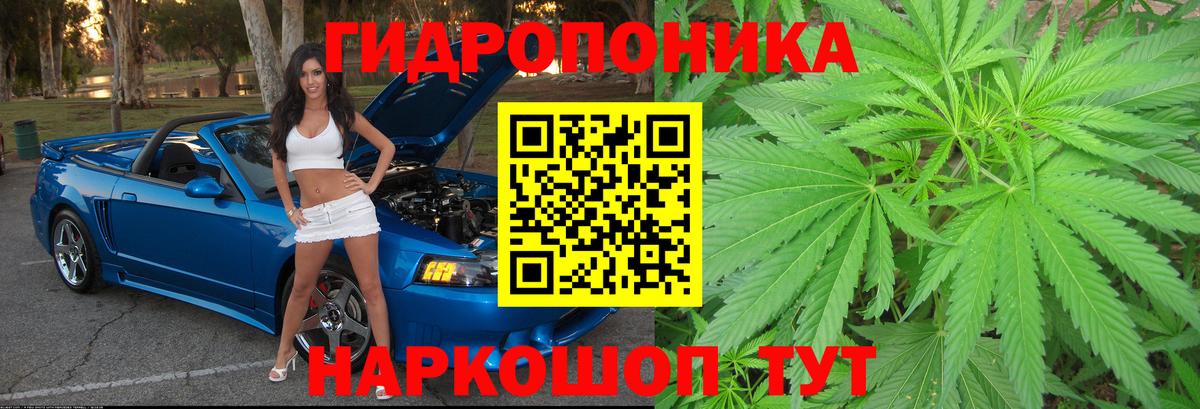 МАРИХУАНА тримм  Каннабис гибрид  Конопля MAZAR  Бошки Шишки White Widow  Курчатов  Вход с VPN 